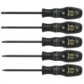 C.K. T4730ESD ESD Tamper-Proof Torx Screwdriver Set, 5 pc. 