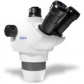 Scienscope NZ-BD-T3 TRINOC HEAD SCIENSCOPE 